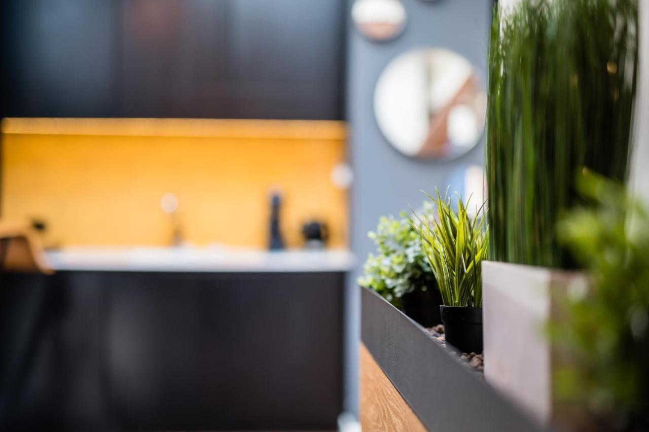 Apartament Wegierska Luxury Loft Wawelofts *